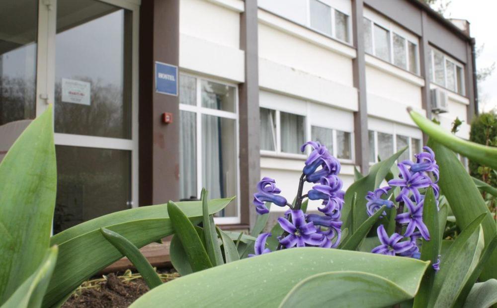 Hostel Rakitje-Rakitje Buitenkant foto